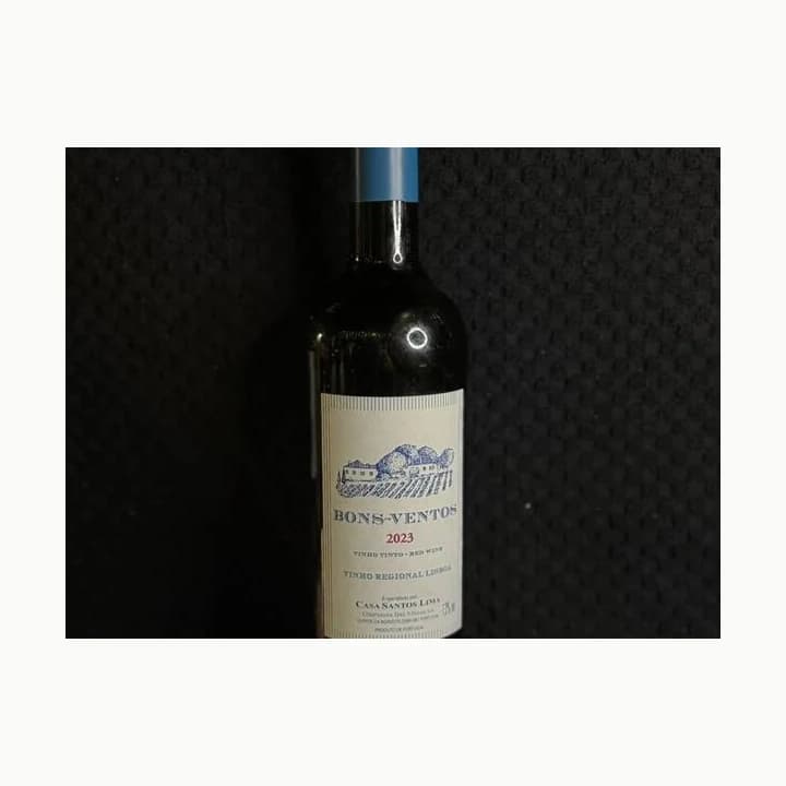 Vinho Bons Ventos 750ml