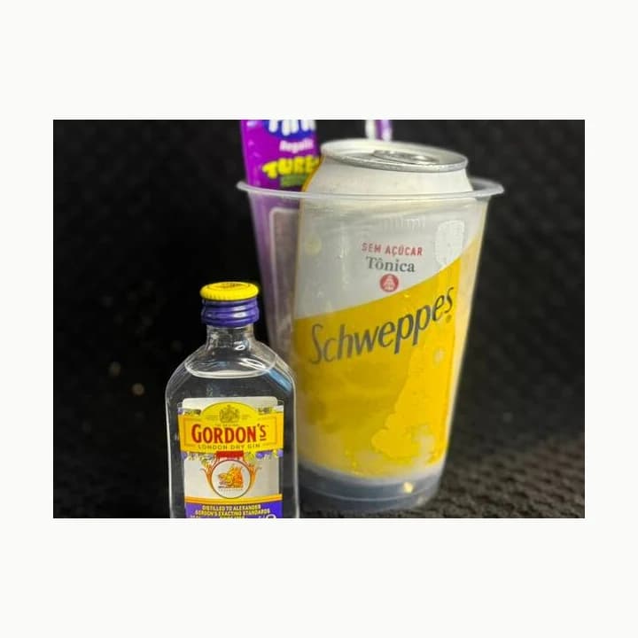 Copo Gin Gordons Ready To Go